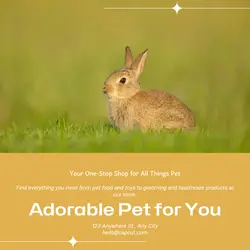 Pet industry General