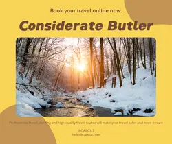 Travel industry Product Display