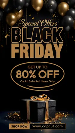 Black Friday Special Offers Promotion Instagram Story