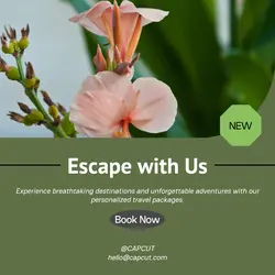 Travel industry General