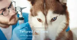 Pet industry Social Cards