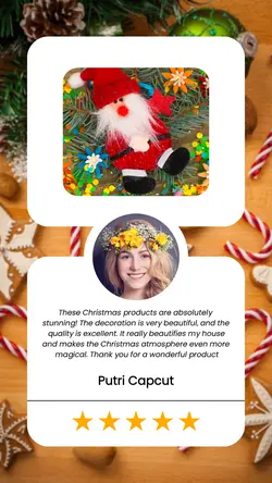 Customer Feedback Christmas Product Instagram Story