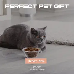 Pet industry Gift