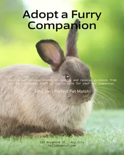 Pet industry General