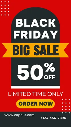 Black Friday Business Promotion