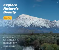 Travel industry General