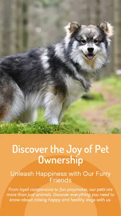 Pet industry General