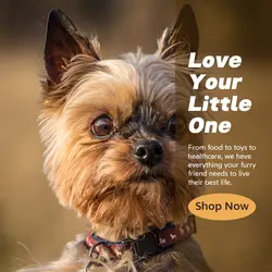Pet industry General