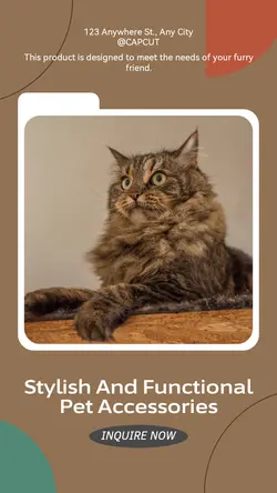 Pet industry Effect Display