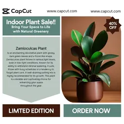 Household Accessories Plant Sales Promotion Instagam Post