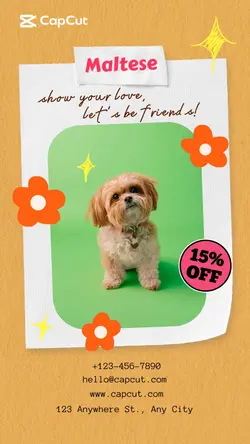 Pet Dog Promotion Collage Style