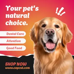 Pet Shop - Instagram Post