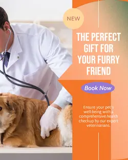 Pet industry Gift