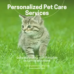Pet industry Effect Display