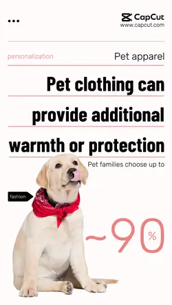 Life services pet clothing sharing minimalism