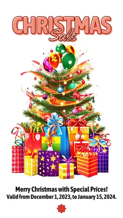 Christmas Day Sale Instagram Story