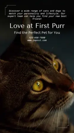 Pet industry General