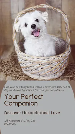 Pet industry General