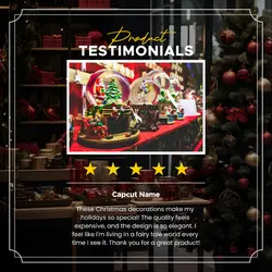 Customer Feedback Christmas Product Instagram Post