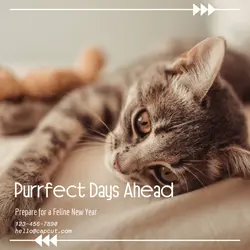 Pet industry Countdown