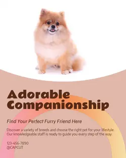 Pet industry General