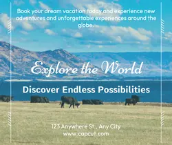 Travel industry General