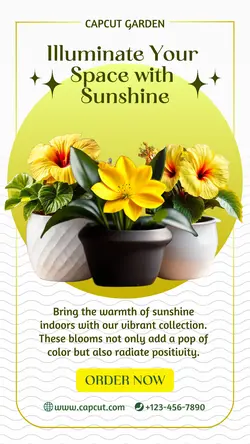 Household Accessories Indoor Plant Product Display