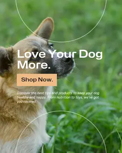 Pet industry General
