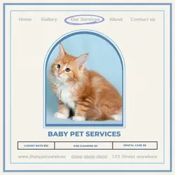 Pet Services Product Display Instagram Feed