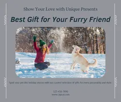 Pet industry Gift