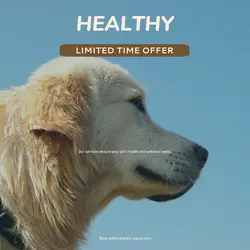 Pet industry Sales Promotion