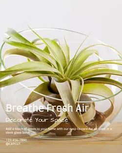 Home decor General