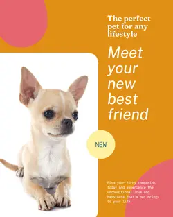 Pet industry General