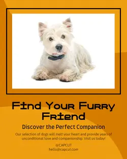 Pet industry General