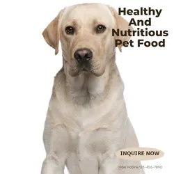 Pet industry Effect Display