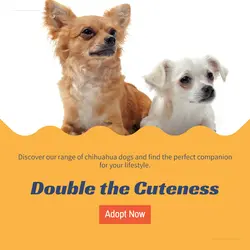 Pet industry General