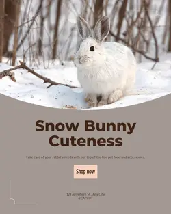 Pet industry General
