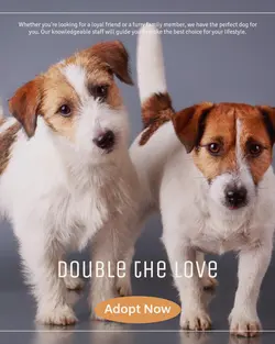 Pet industry General