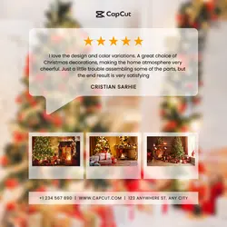 Customer Feedback Christmas Product Instagram Post