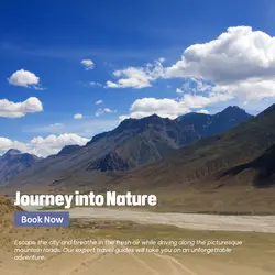 Travel industry General