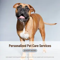 Pet industry Effect Display