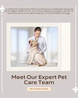 Pet industry Team introduction