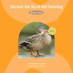 Pet industry General