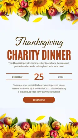 Thanksgiving Charity Dinner Instagram Story