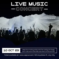 Other Concert Music Display Instagram Post