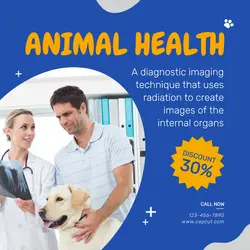 Pet Service Promotion Instagram Post