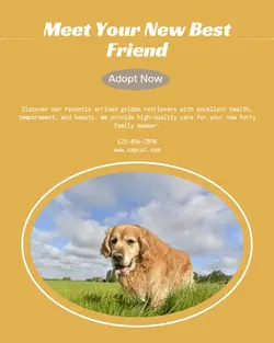 Pet industry New arrivals