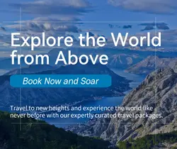 Travel industry General