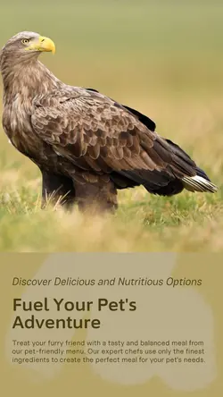 Pet industry Menu