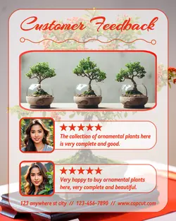 Household Accessories Customer Feedback Ornamental Plant Instagram Portrait